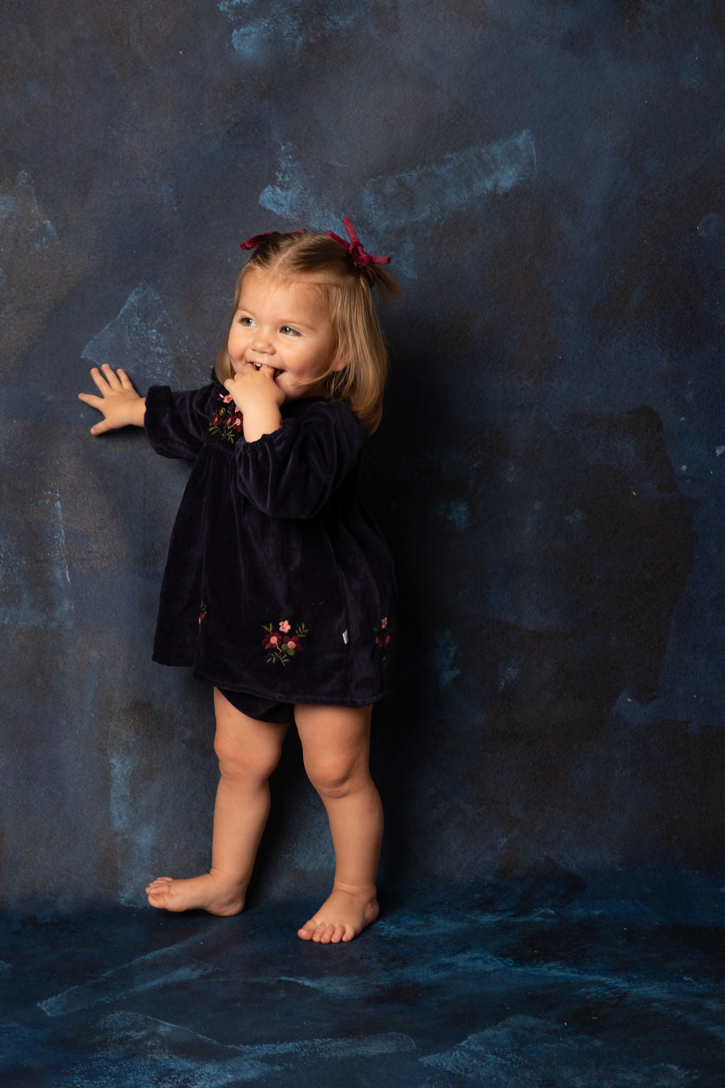clip velvet rope bow set