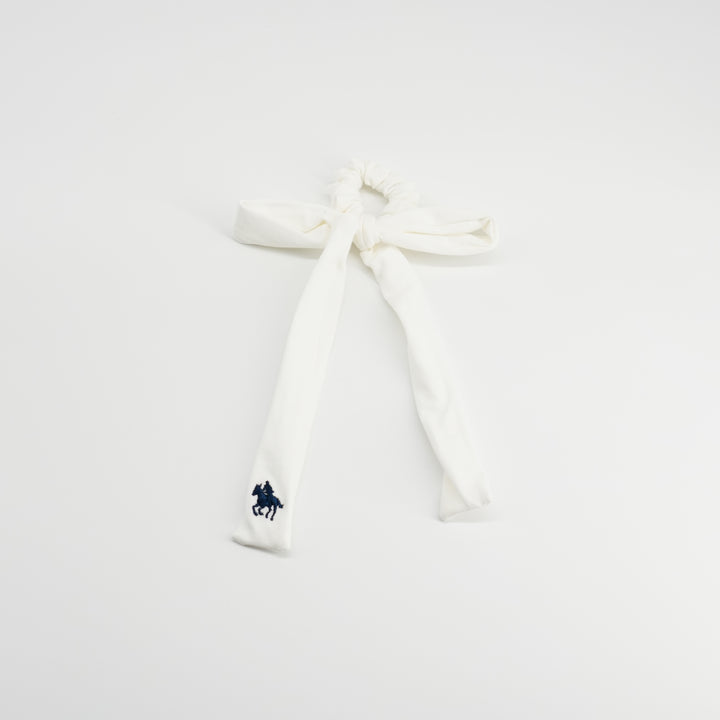 pony scrunchie hanging polo