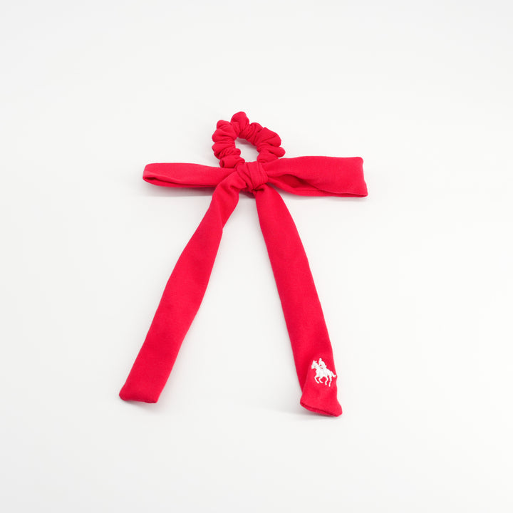 pony scrunchie hanging polo